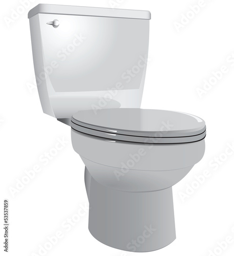 Toilet bowl