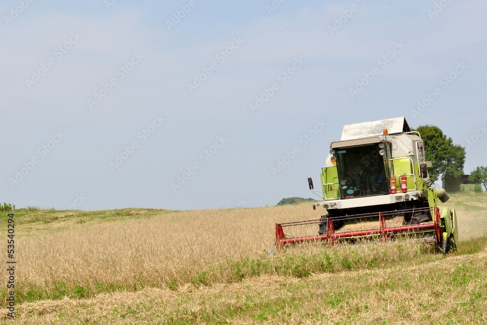 Obraz premium Combine in the field during harvesting with space on left side