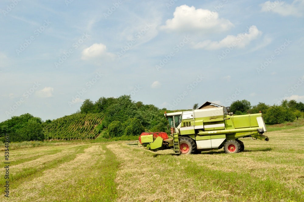 Fototapeta premium Combine harvester finished the harvesting in the wheat field