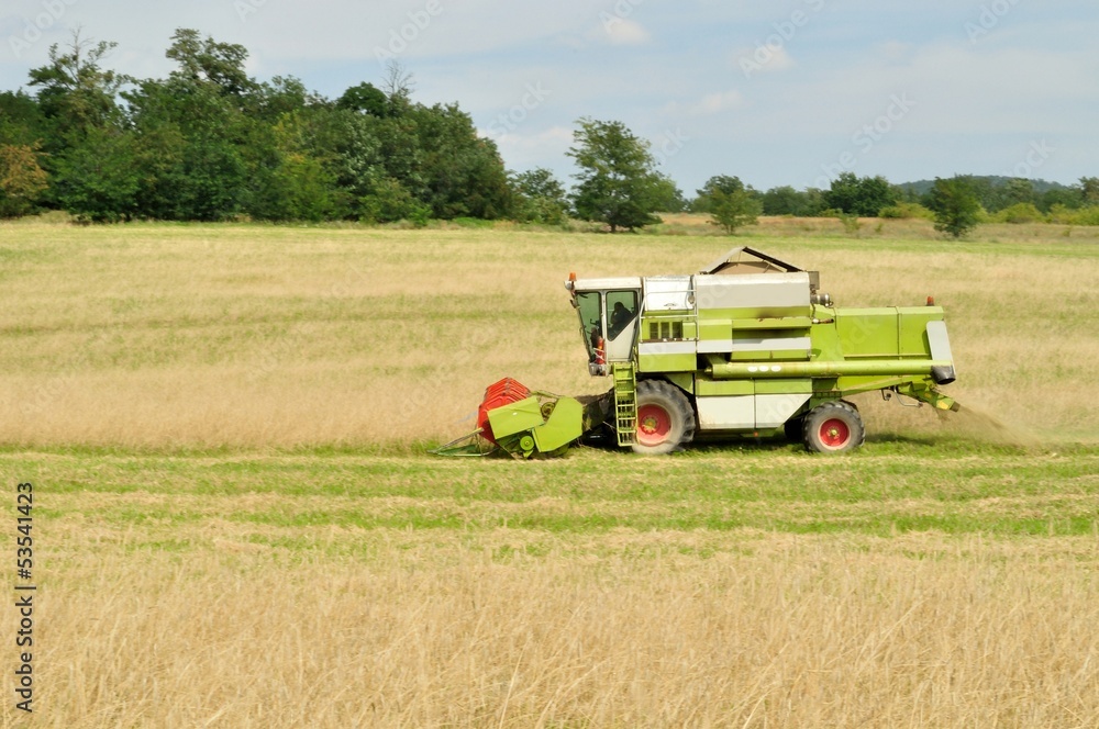 Obraz premium Combine harvester in the field during harvesting