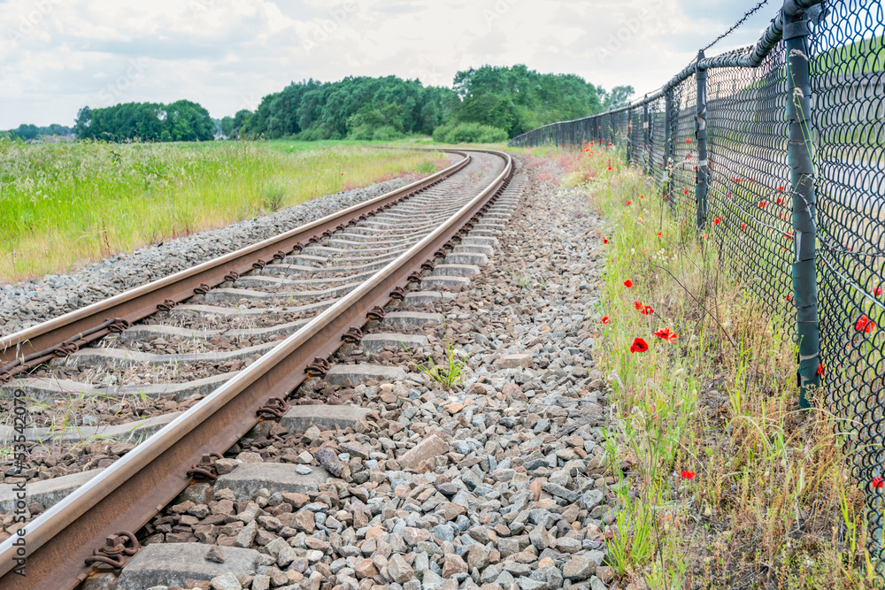 Naklejka premium Red flowering poppies next to the curved railroad