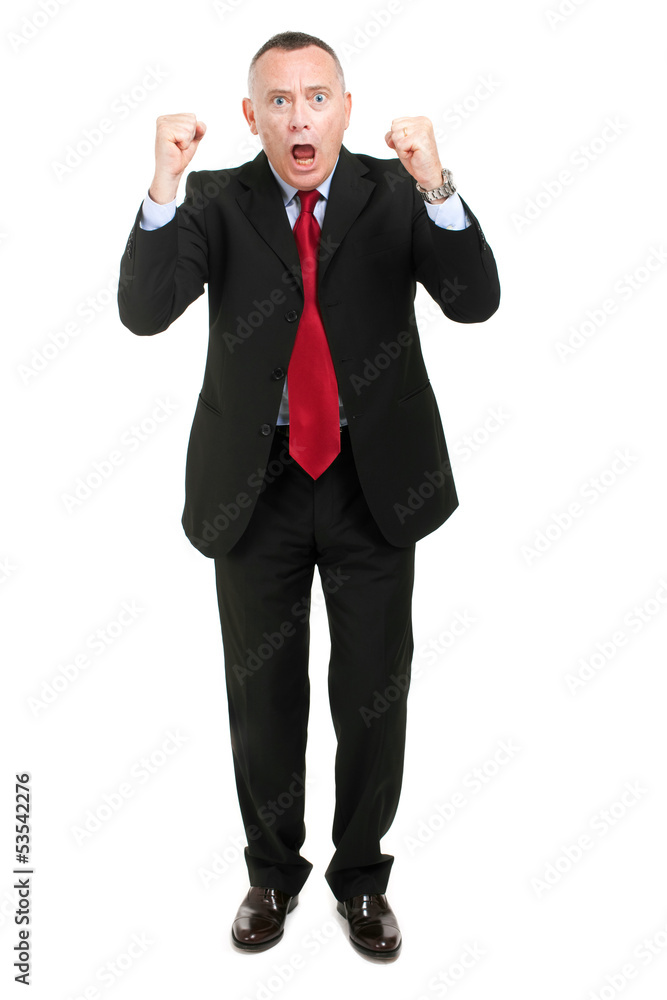 Successful businessman over a white background