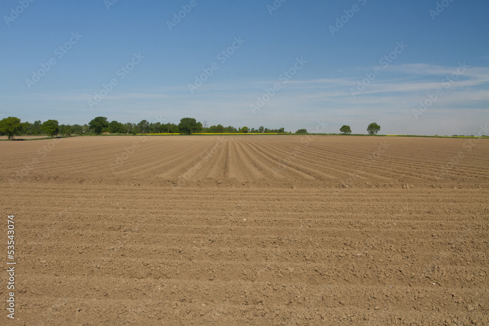 Fototapeta premium Ploughed field