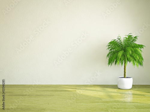 Plant near the wall