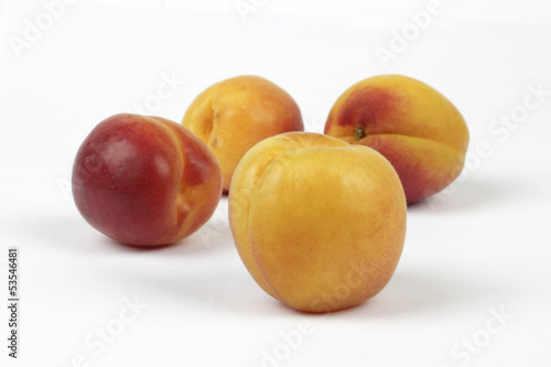 apricots  on the white background