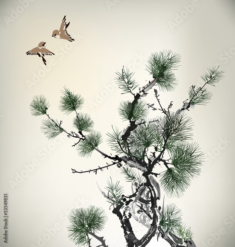 pine tree