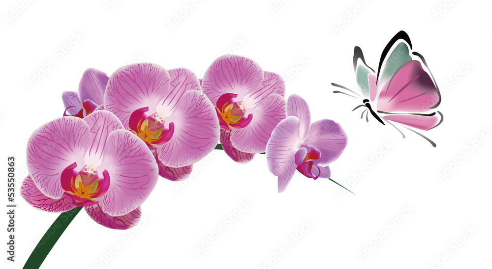 Obraz premium Chinese Orchid and butterfly ink style