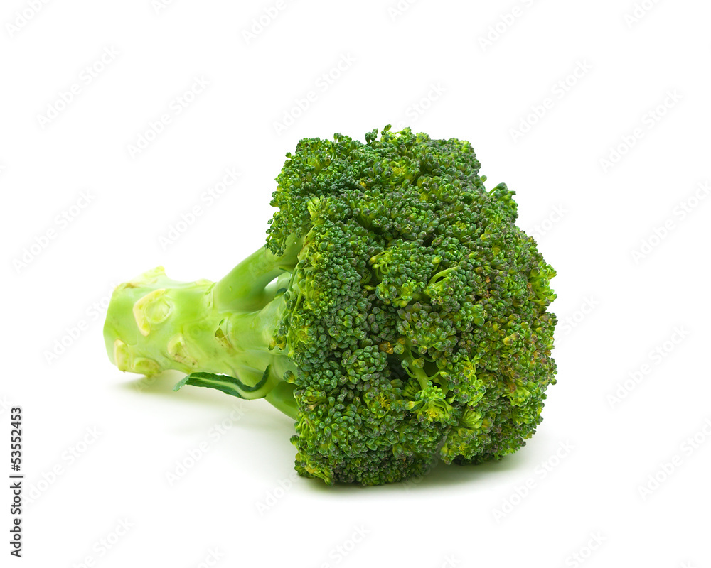 Fresh broccoli isolated on a white background close-up Fresh broccoli isolated on a white background close-up