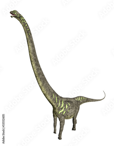 Dinosaurier Mamenchisaurus © Michael Rosskothen