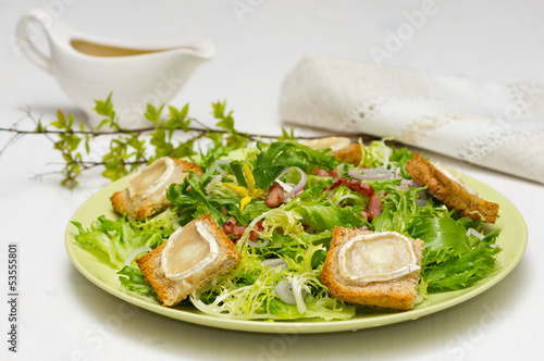 Hot grilled Goat-cheese salad