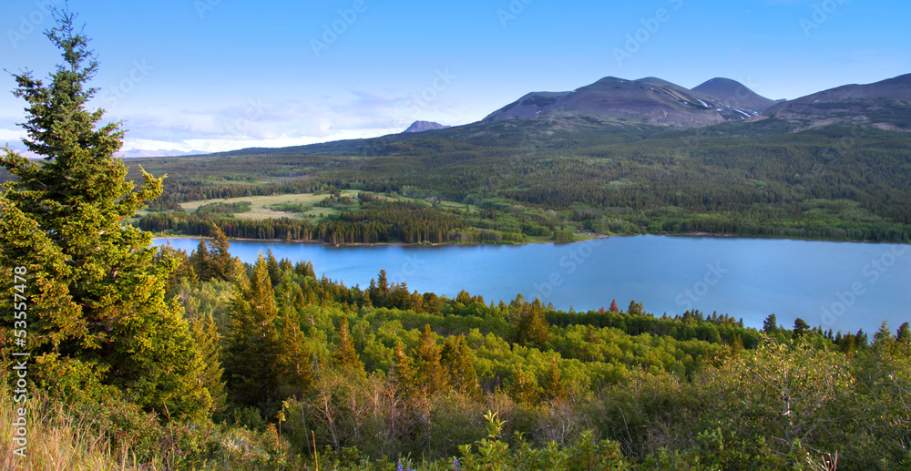 Glacier national park in the summer Glacier national park in the summer