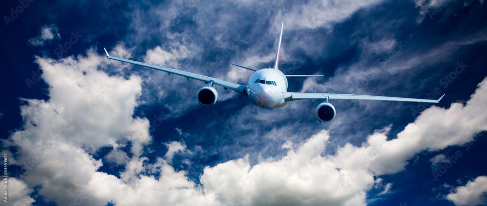 Fototapeta Passenger Airliner in the sky
