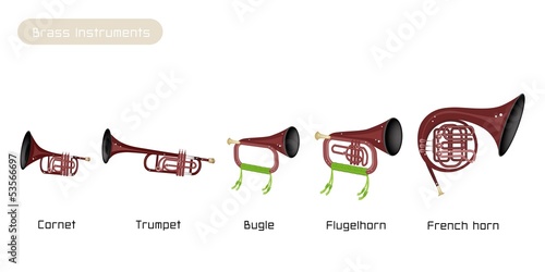 Five Brass Instrument Isolated on White Background