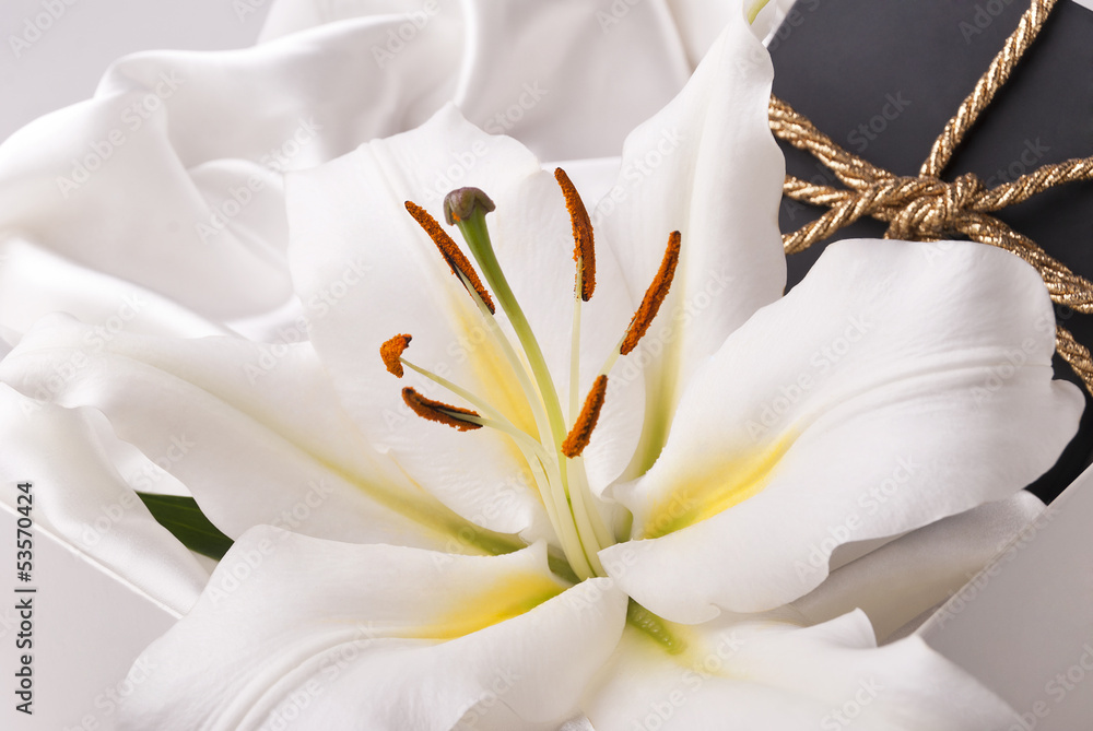 Obraz premium Prezent i lilia
