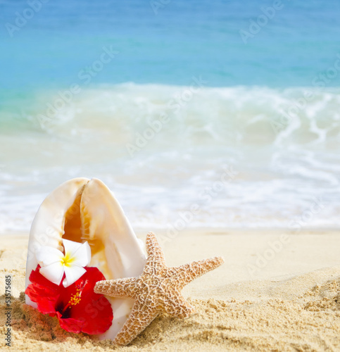 Seashell and starfish with tropical flowers on sandy beach photo