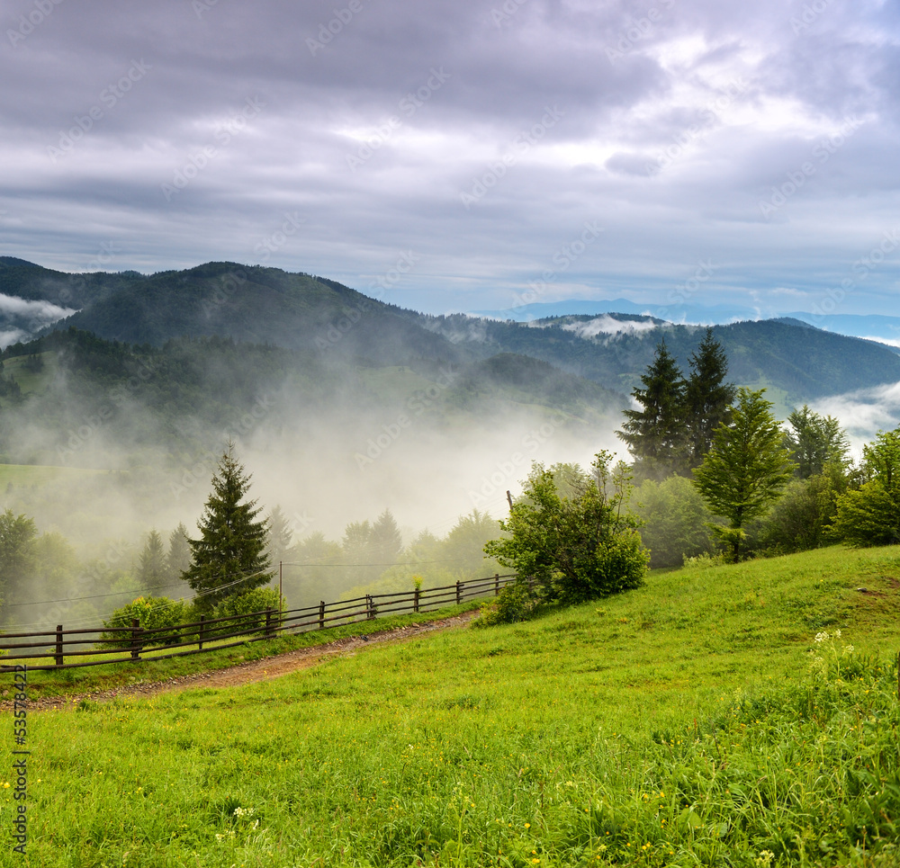 Evening landscape in the mountains. Ukraine.