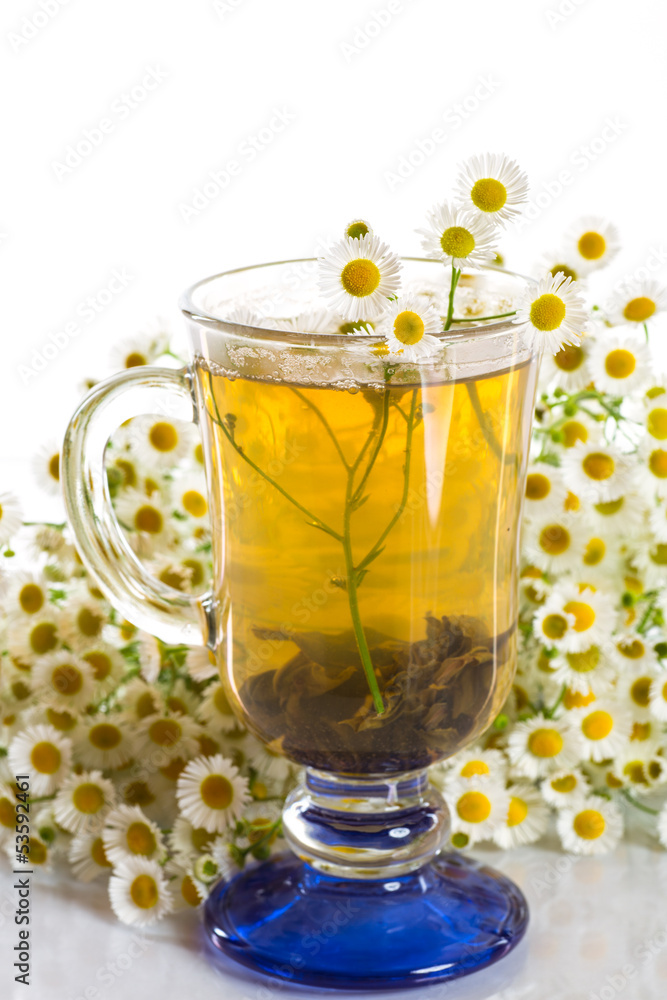 chamomile tea chamomile tea