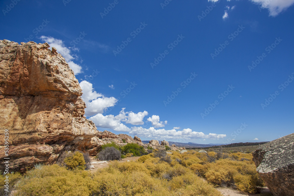 Fototapeta premium African landscape