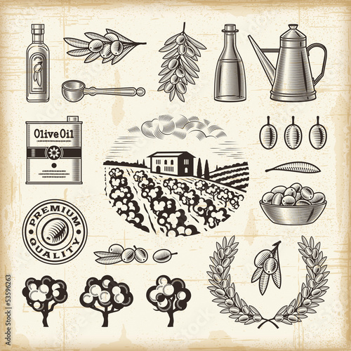 Vintage olive harvest set