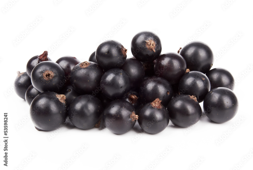 currant currant