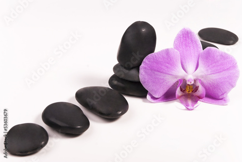 Stones and orchid