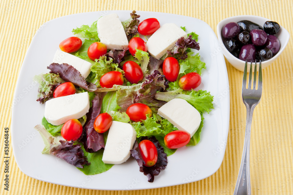 Fresh spring mix salad with tomatoes and mozzarella, olives on s