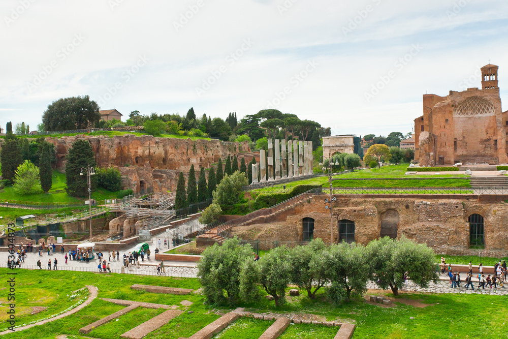 Ruins of Roman Forum. Rome, Italy