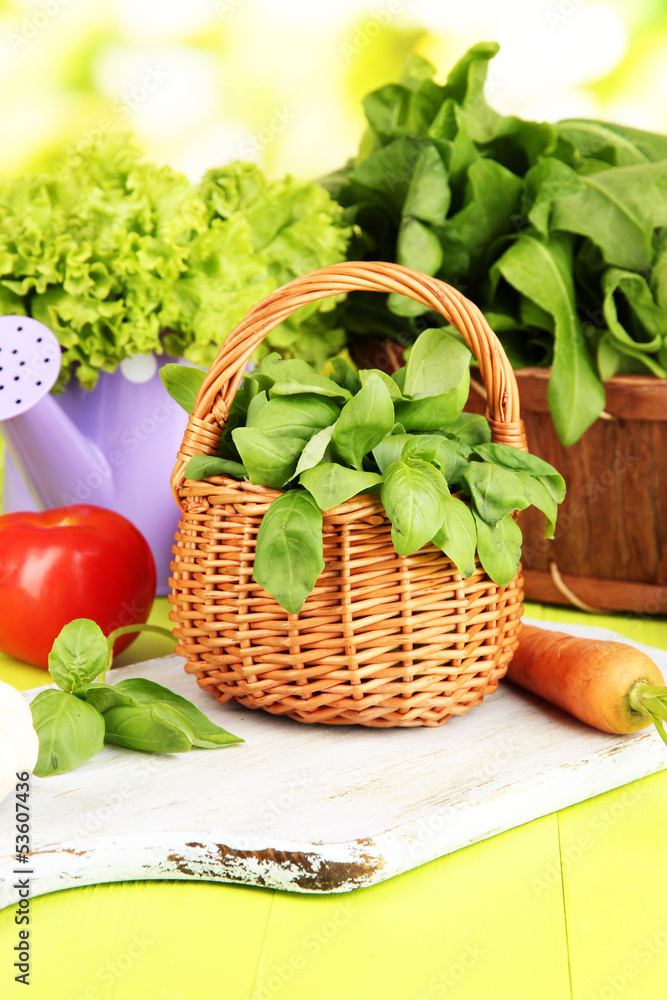 Fototapeta Fresh herb in basket on wooden table on natural background