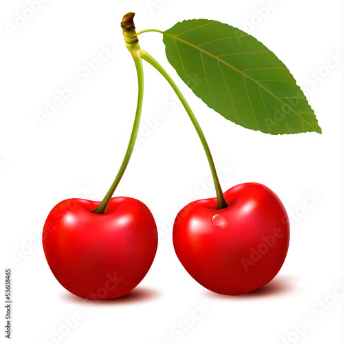 Two red cherry berries with leaf. Vector.