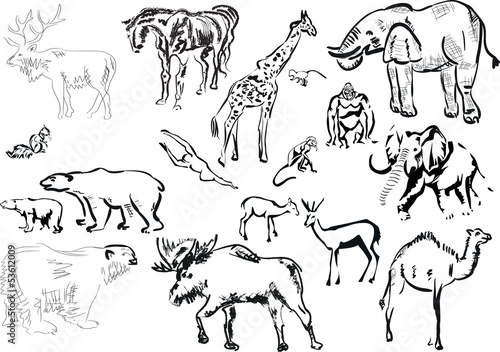 collection of isolated animals sketches