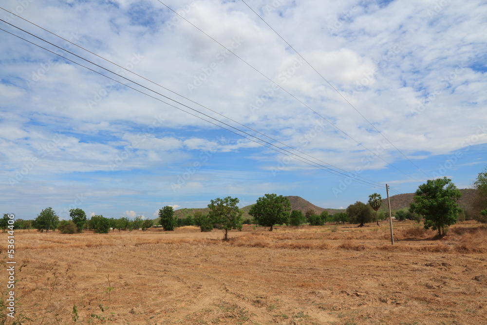 Dryness of countryside landscape with blue sky.