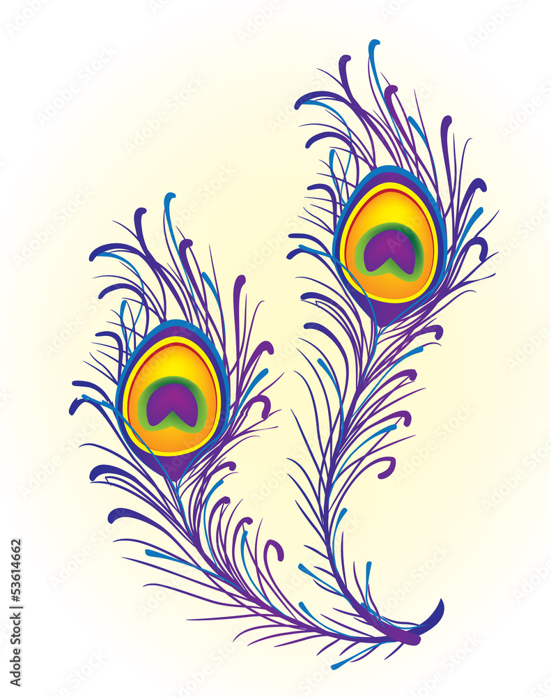 Obraz premium Peacock feather