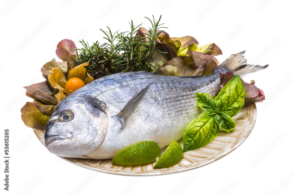 Fresh raw dorada Fresh raw dorada