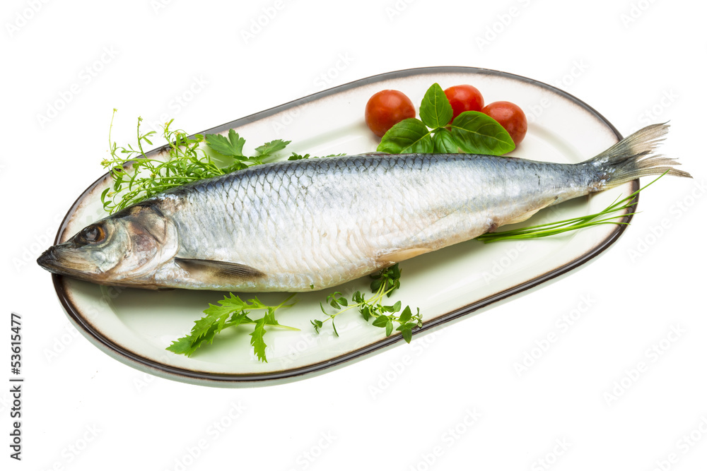Marinated herring with herbs Marinated herring with herbs