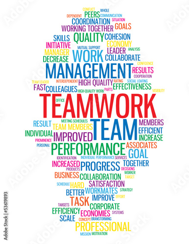 "TEAMWORK" Tag Cloud (management performance goals targets team)