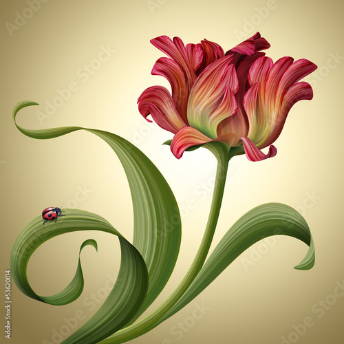 Fototapeta Naklejka Na Ścianę i Meble -  illustration of a beautiful red tulip flower with ladybug