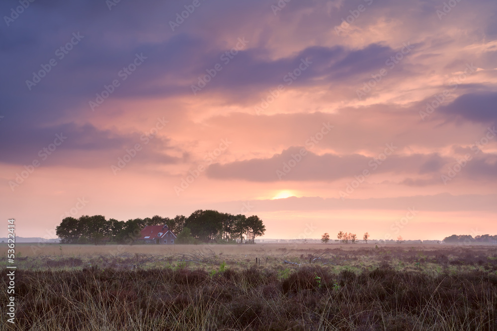 calm pink sunset over home among swamps