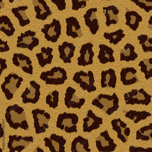 Texture of a leopard colouring