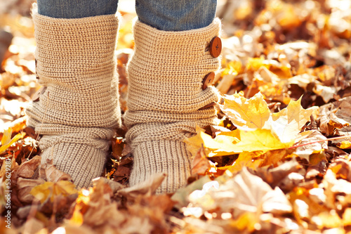 Obraz na płótnie Walking through the autumn leaves, closeup w salonie