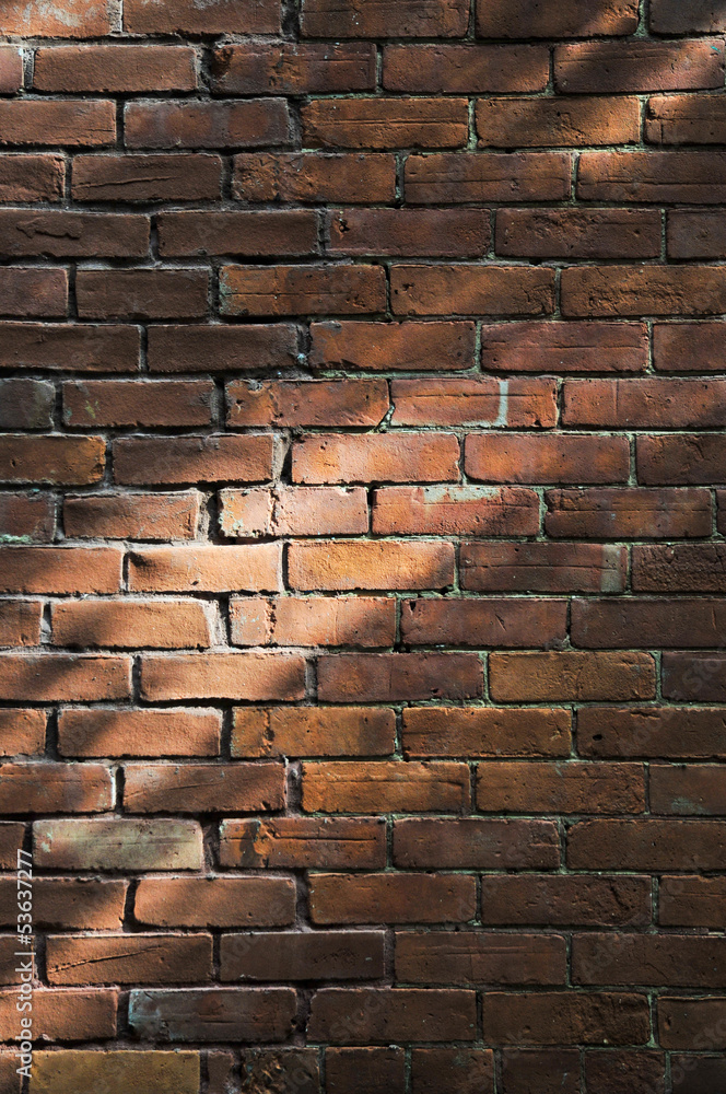 Obraz premium Brick wall