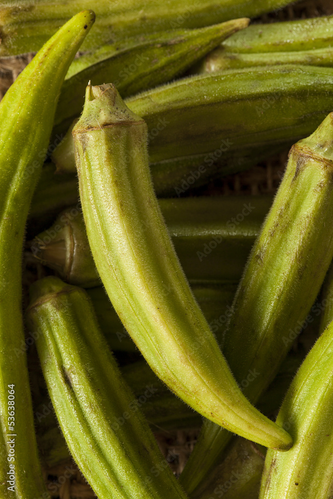Fototapeta premium Organic Green Okra Vegetable