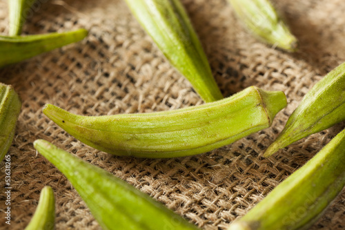 Organic Green Okra Vegetable