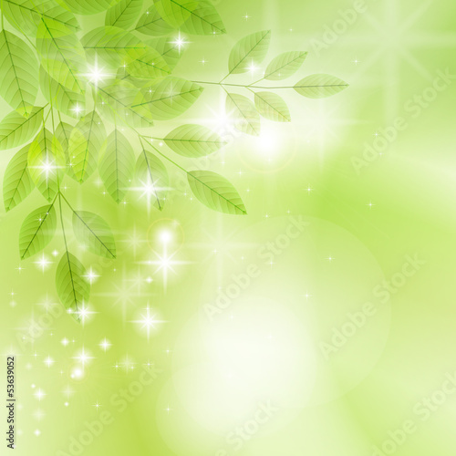 fragrance2
