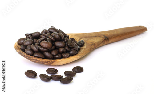 Coffee bean seed.