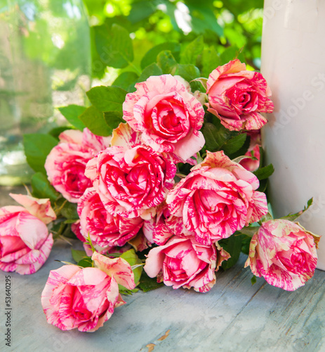 Bright pink roses