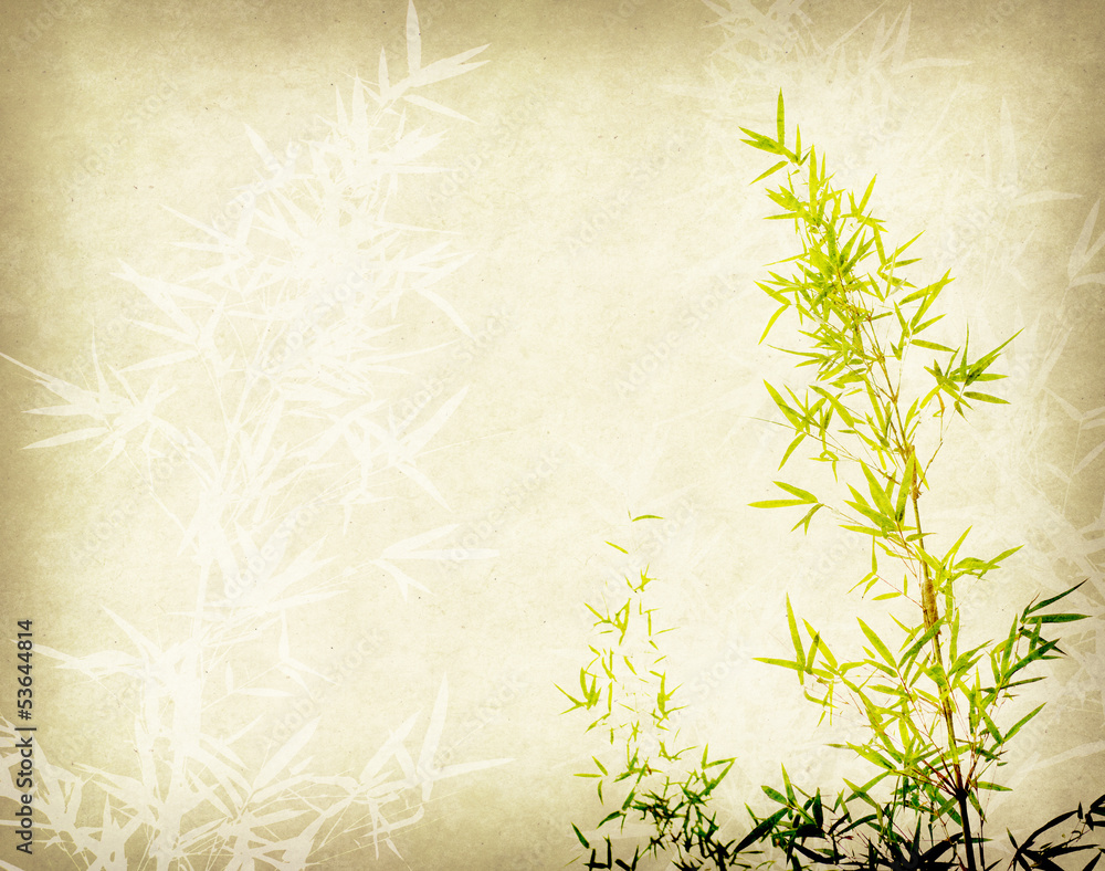 bamboo on old grunge paper texture background bamboo on old grunge paper texture background