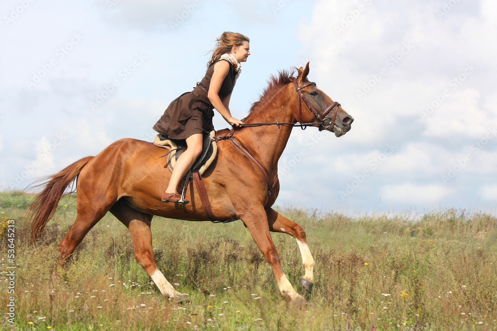 Beautiful teenage girl riding horse at the field Beautiful teenage girl riding horse at the field