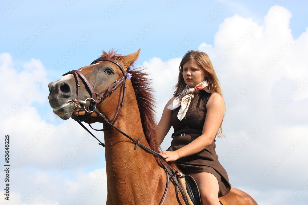 Obraz premium Girl and horse portrait on sky background