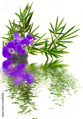 Fototapeta Naklejka Na Ścianę i Meble -  composition bambou orchidée galet