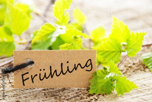 label with Fruehling